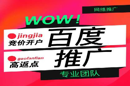 网站SEM托管服务客户案例分享